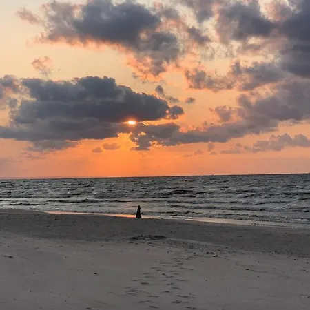 Πανσιόν Jantarvia Car Museum , Pasja I Wypoczynek Z Klimatem 3*