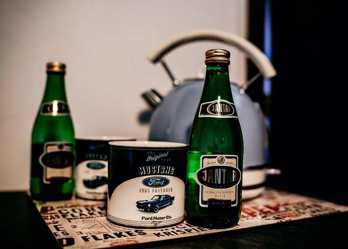 Jantarvia Car Museum , Pasja I Wypoczynek Z Klimatem Гостевой дом 3*