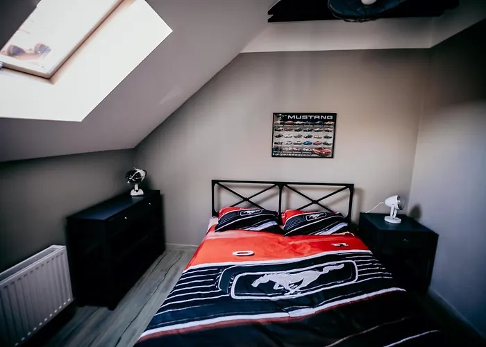 Jantarvia Car Museum , Pasja I Wypoczynek Miejsce Z Klimatem 3*