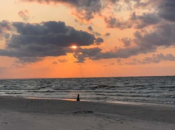 Гостевой дом Jantarvia Car Museum , Pasja I Wypoczynek Z Klimatem 3*
